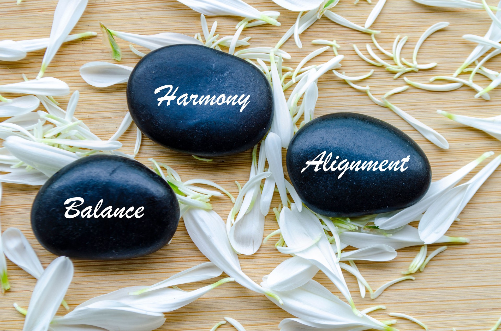 Balance, Harmony, and Alignment text on zen stones surrounded by flower petals. Inner peace concept